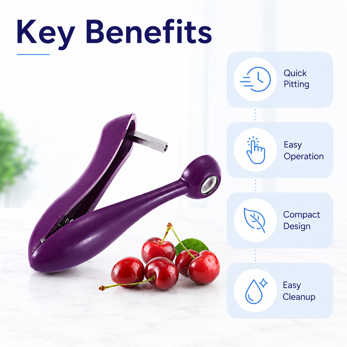Cherry Kernel Remover Handheld - Kitchen Baking Tools 评论和价格