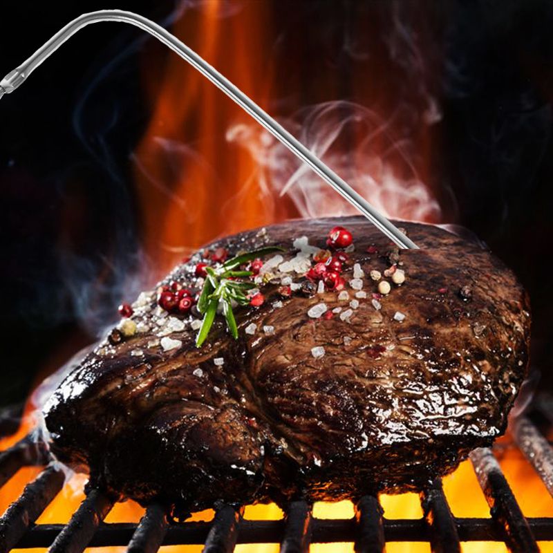 2025 New Temperature Probe Sta - Oven Thermometer Analog 评论和价格